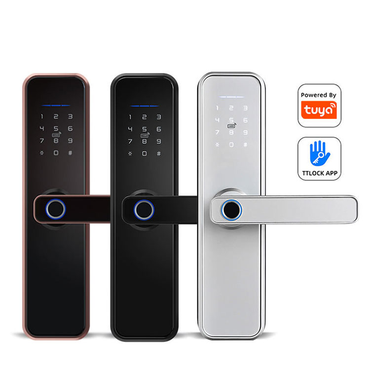 Біометричний Smart Lock — FM 550