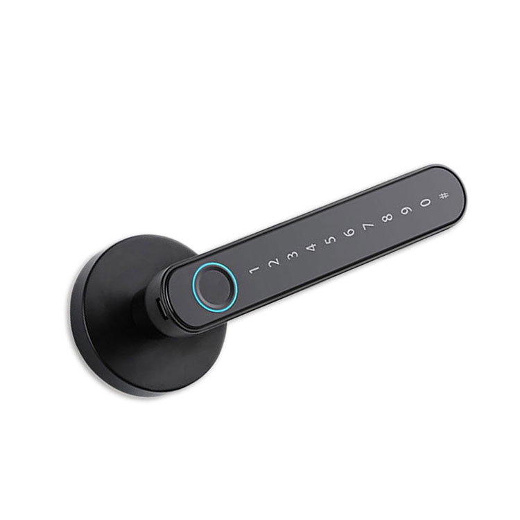 Smart Handle Lock — FM T8