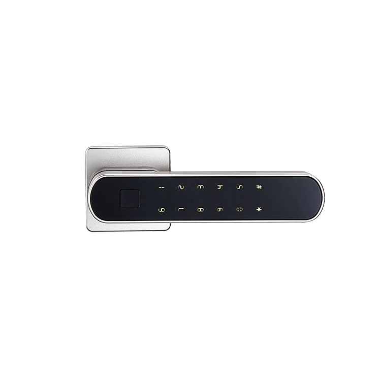 Smart Handle Lock—FM15